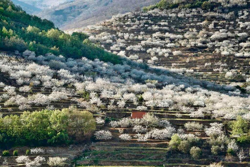 Apartamento Rural Se De Un Lugar El Torno  Ngoại thất bức ảnh