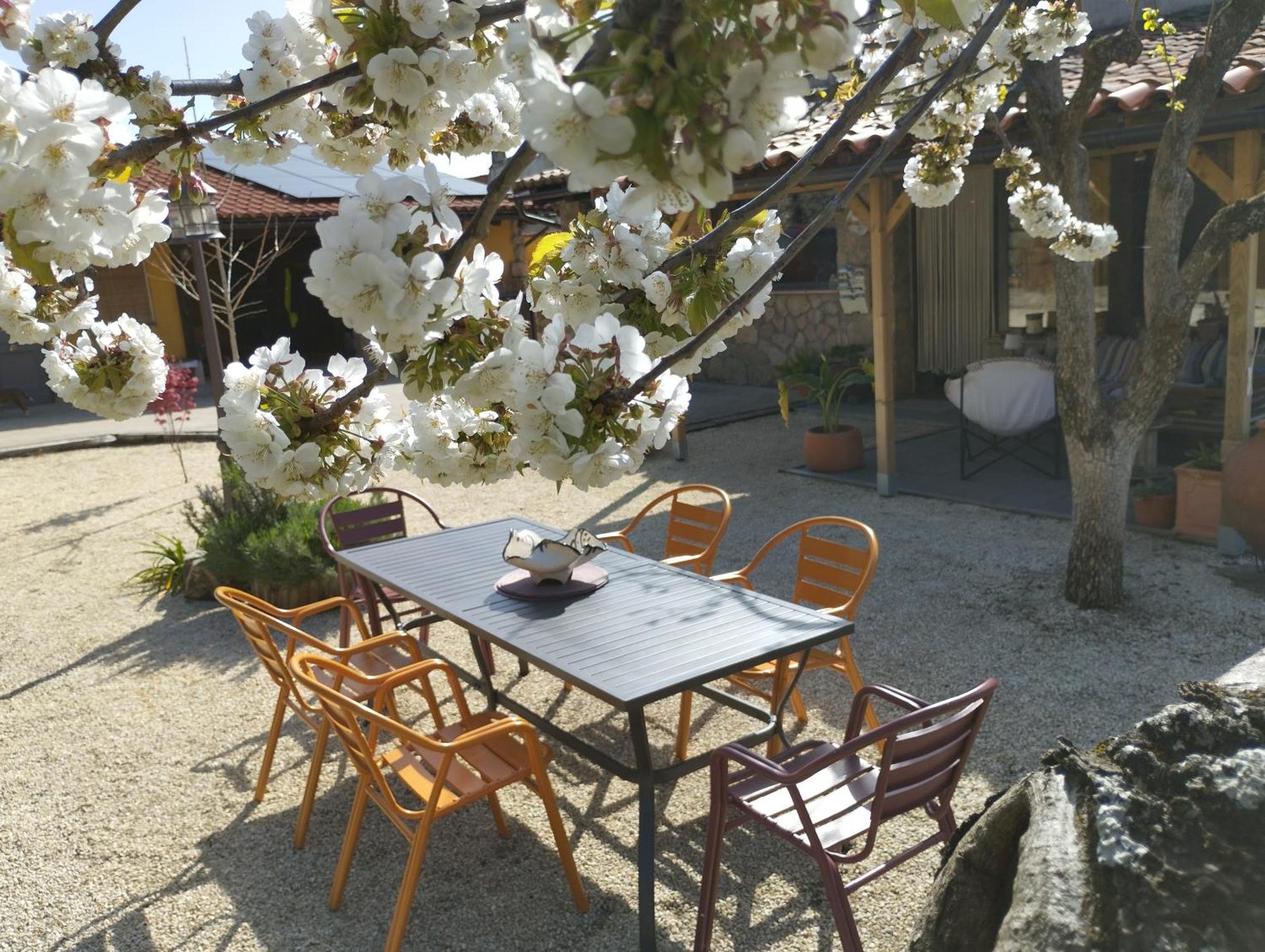 Apartamento Rural Se De Un Lugar El Torno  Ngoại thất bức ảnh